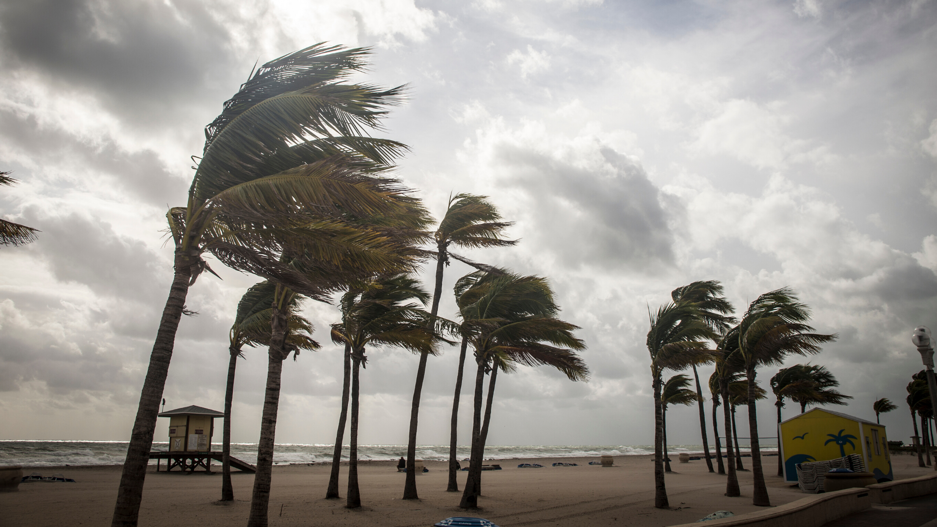 3 Ways Restaurants Can Prepare for Hurricanes